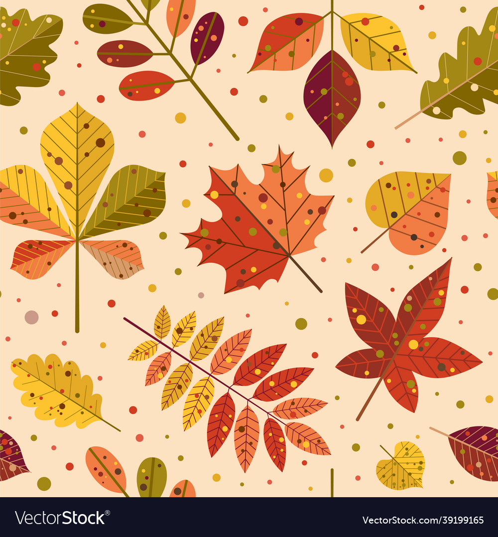 Autumn tree leaves and fall foliage pattern vector image Autumn tree leaves and fall foliage pattern