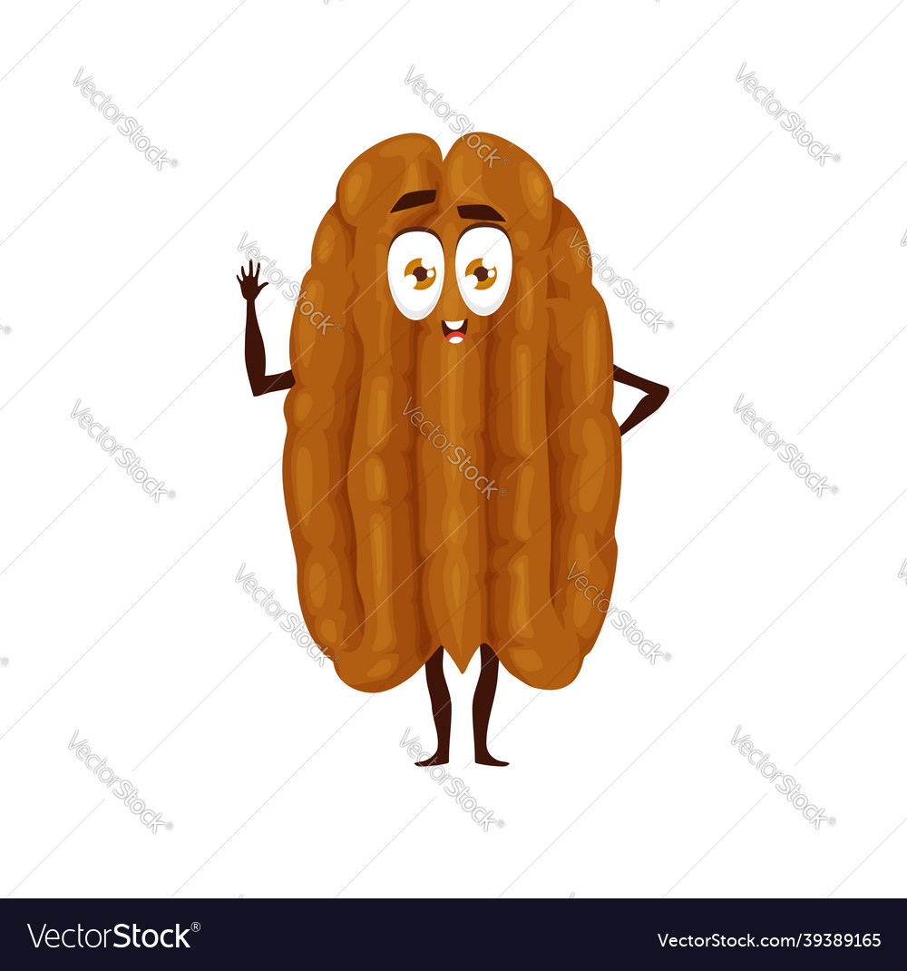 Cartoon pecan nut character kids yummy food Vector Image