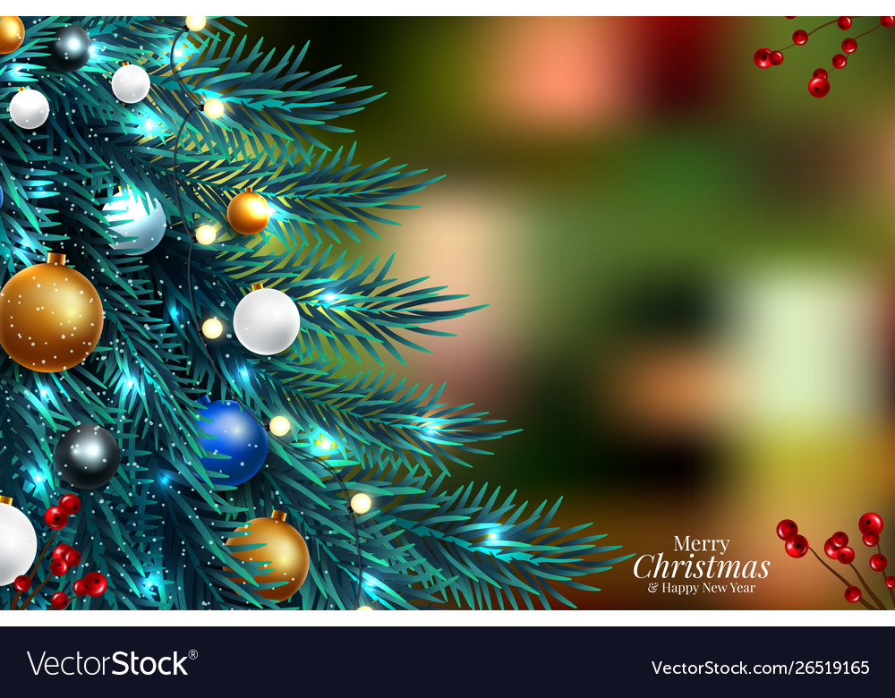 Christmas tree branches on a dark night bokeh Vector Image