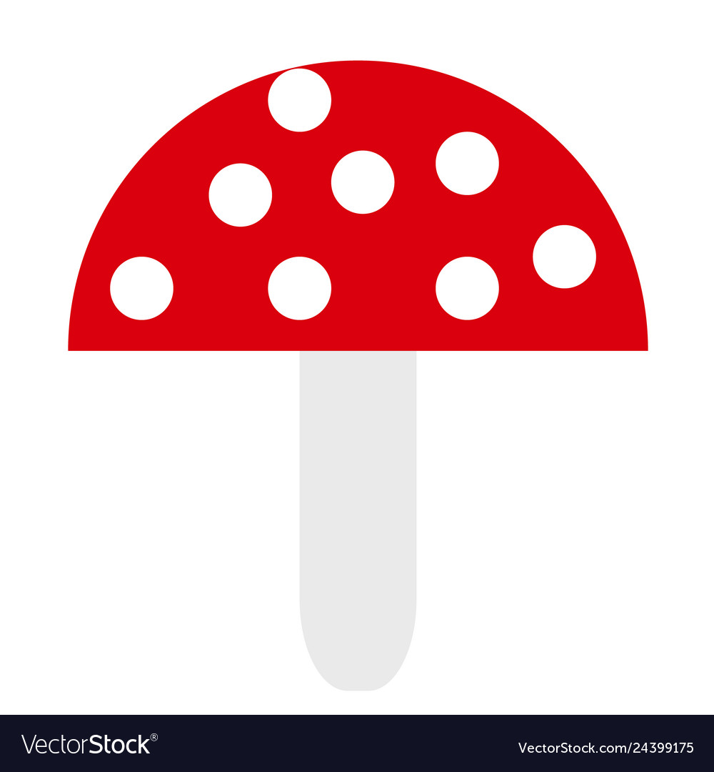 Amanita Wohnung