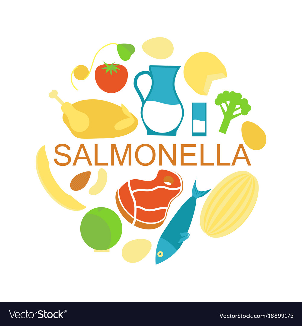 Salmonella Contaminated Food Royalty Free Vector Image