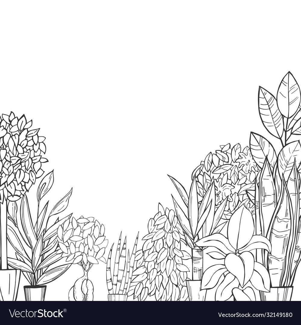 Background with hand drawn houseplants sketch