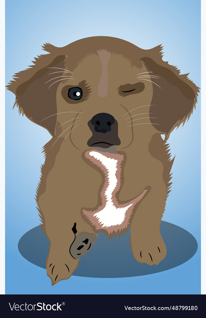 Image of puppy winking