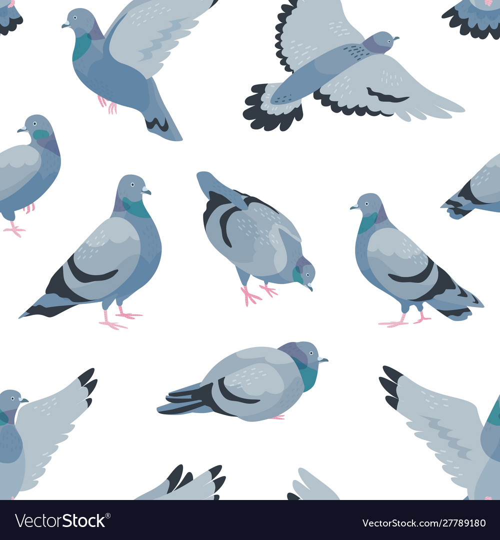 Pigeons flat seamless pattern cartoon grey vector image Pigeons flat seamless pattern cartoon grey