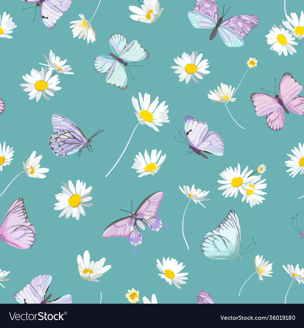 Spring daisy flowers and butterfly vector image Spring daisy flowers and butterfly