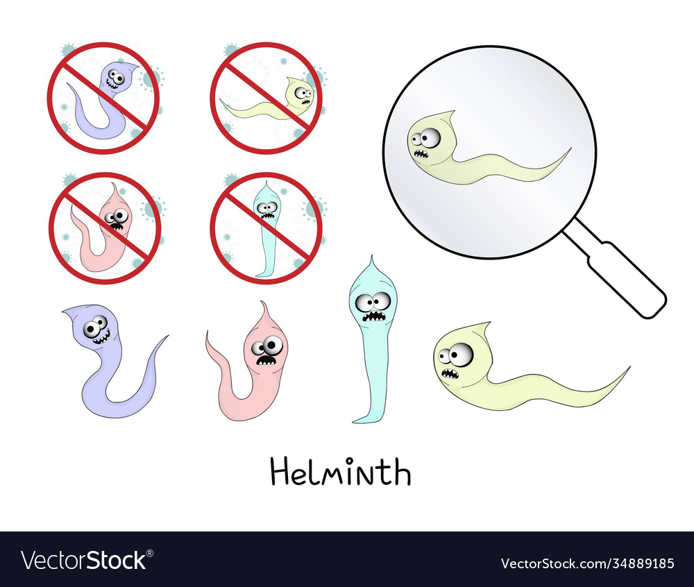 Helminths Rundwürmer Darmparasiten Warnung