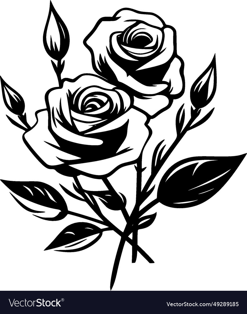 Roses - black and white Royalty Free Vector Image