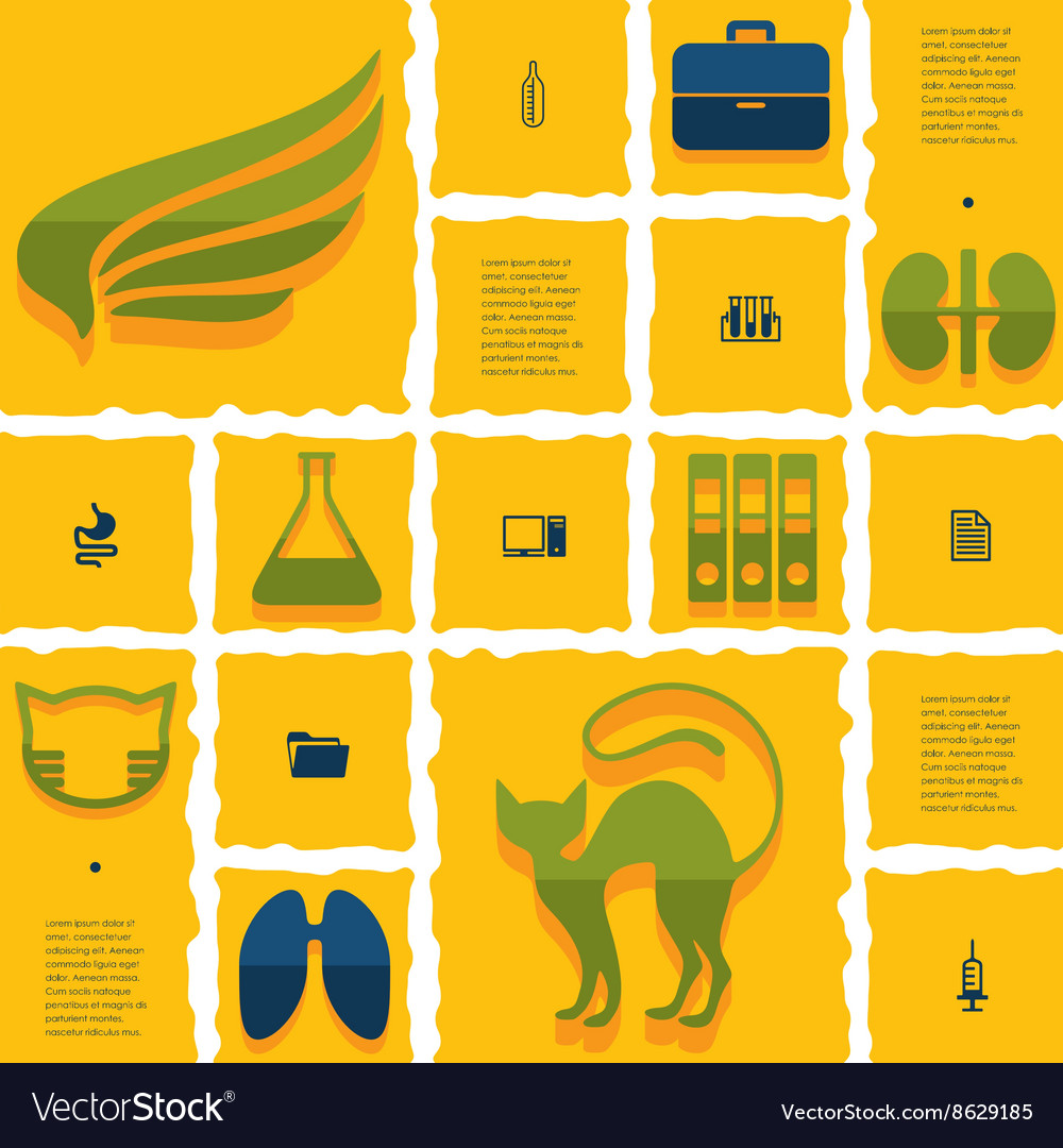 Veterinary flat infographic