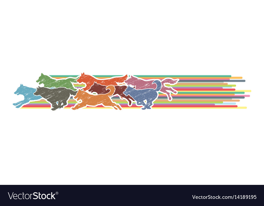 8 dogs running
