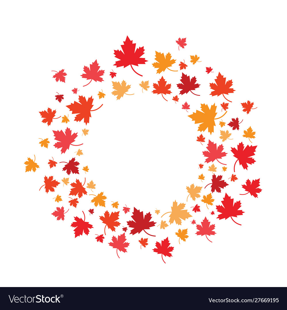 Autumn leaves maple Royalty Free Vector Image - VectorStock