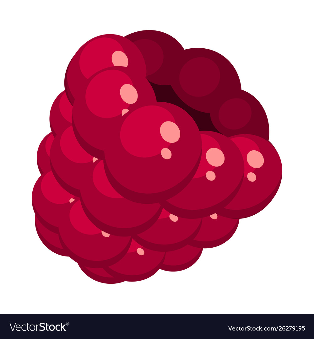 Design raspberry and fruit icon