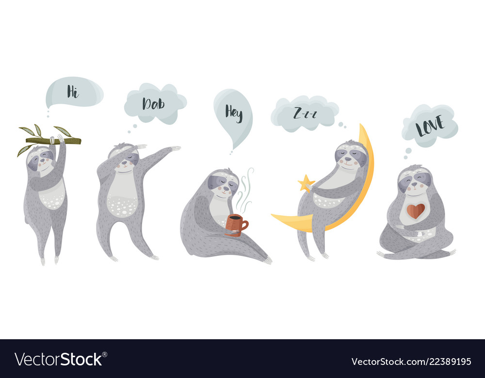 Different lazy bear icons vector image Different lazy bear icons