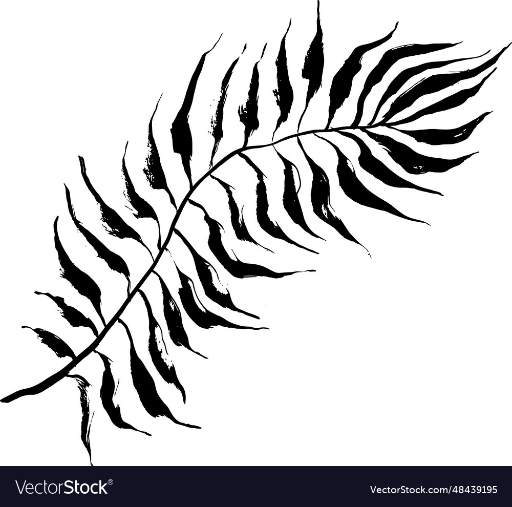 Dry brush palm tree leaf silhouette Royalty Free Vector