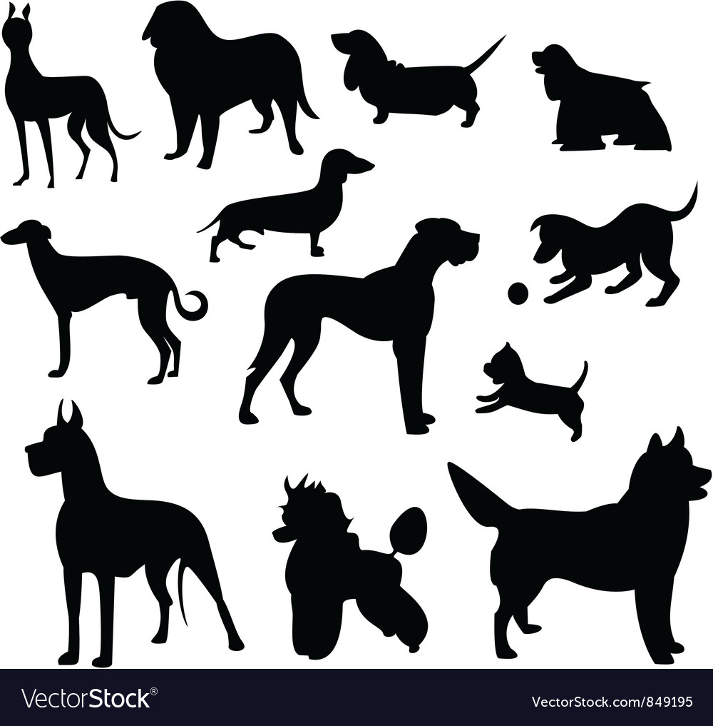 Dog setting. Силуэт собак для крючка вместо хвоста. Фотообои собака.
