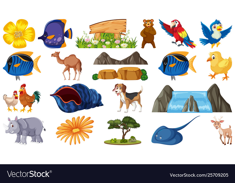 Set animals and nature objects