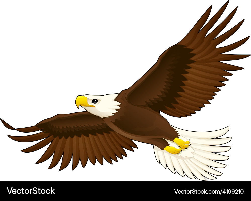 American eagle Royalty Free Vector Image - VectorStock