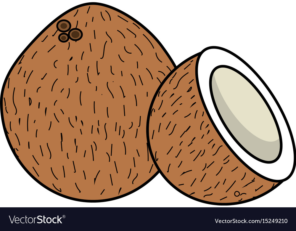 Coconot fruit with one slice