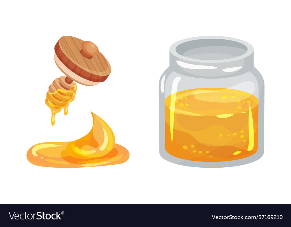 Glass jar full with honey and honey dipper Vector Image