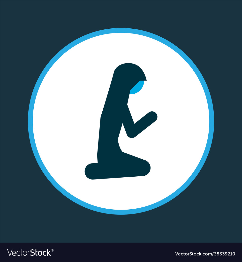 Muslim female icon colored symbol premium quality Vector Image