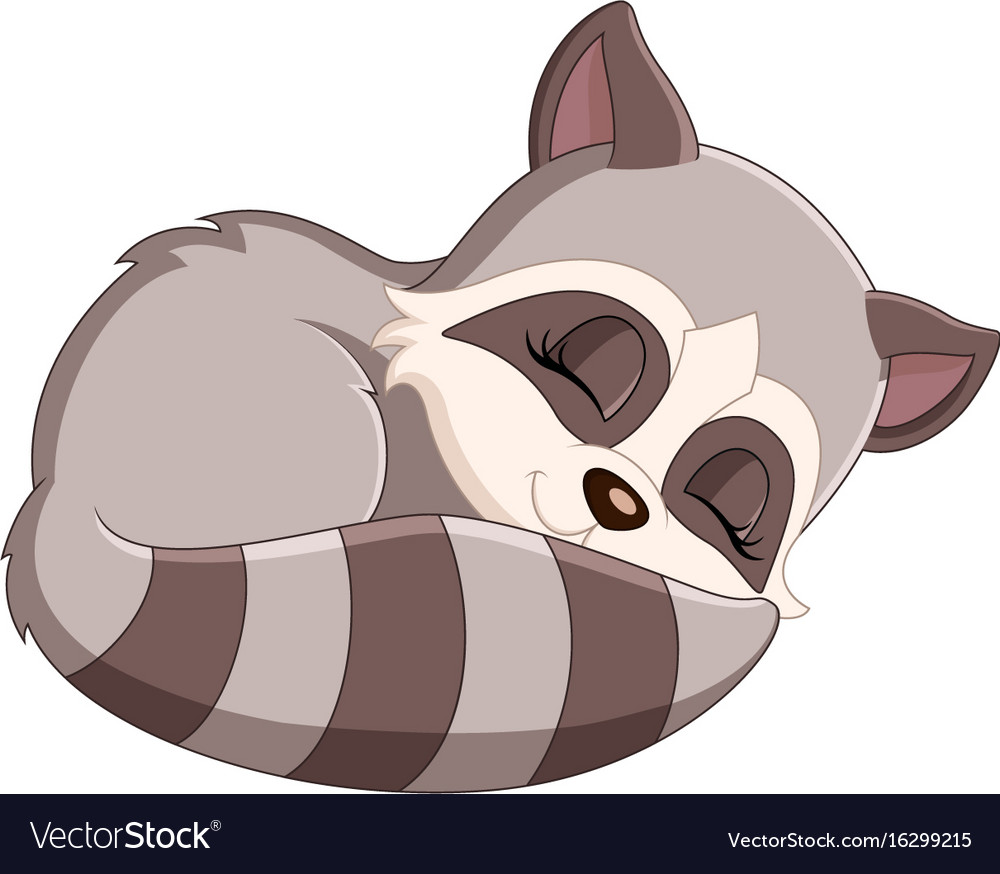 Baby raccoon cartoon Royalty Free Vector Image