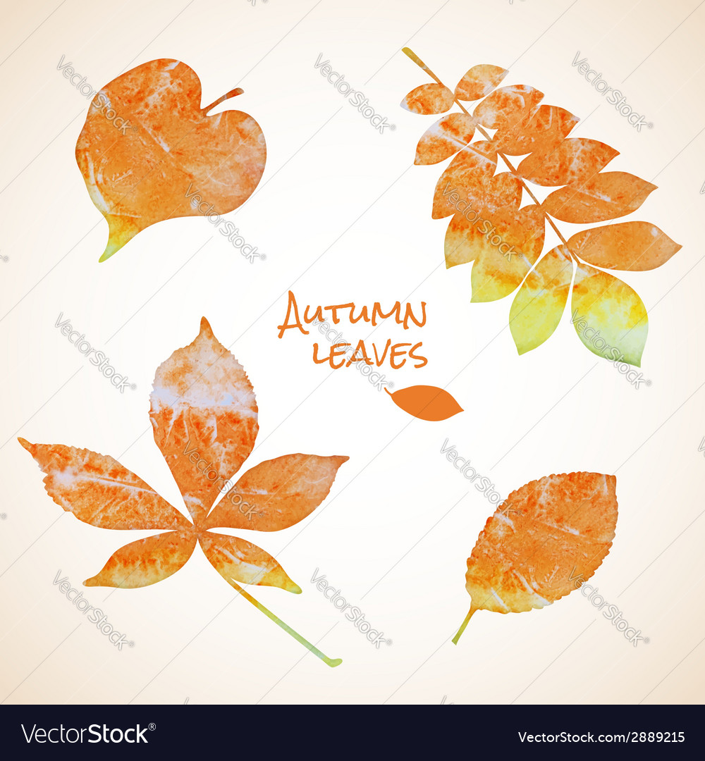 Colorful set of watercolor leaves