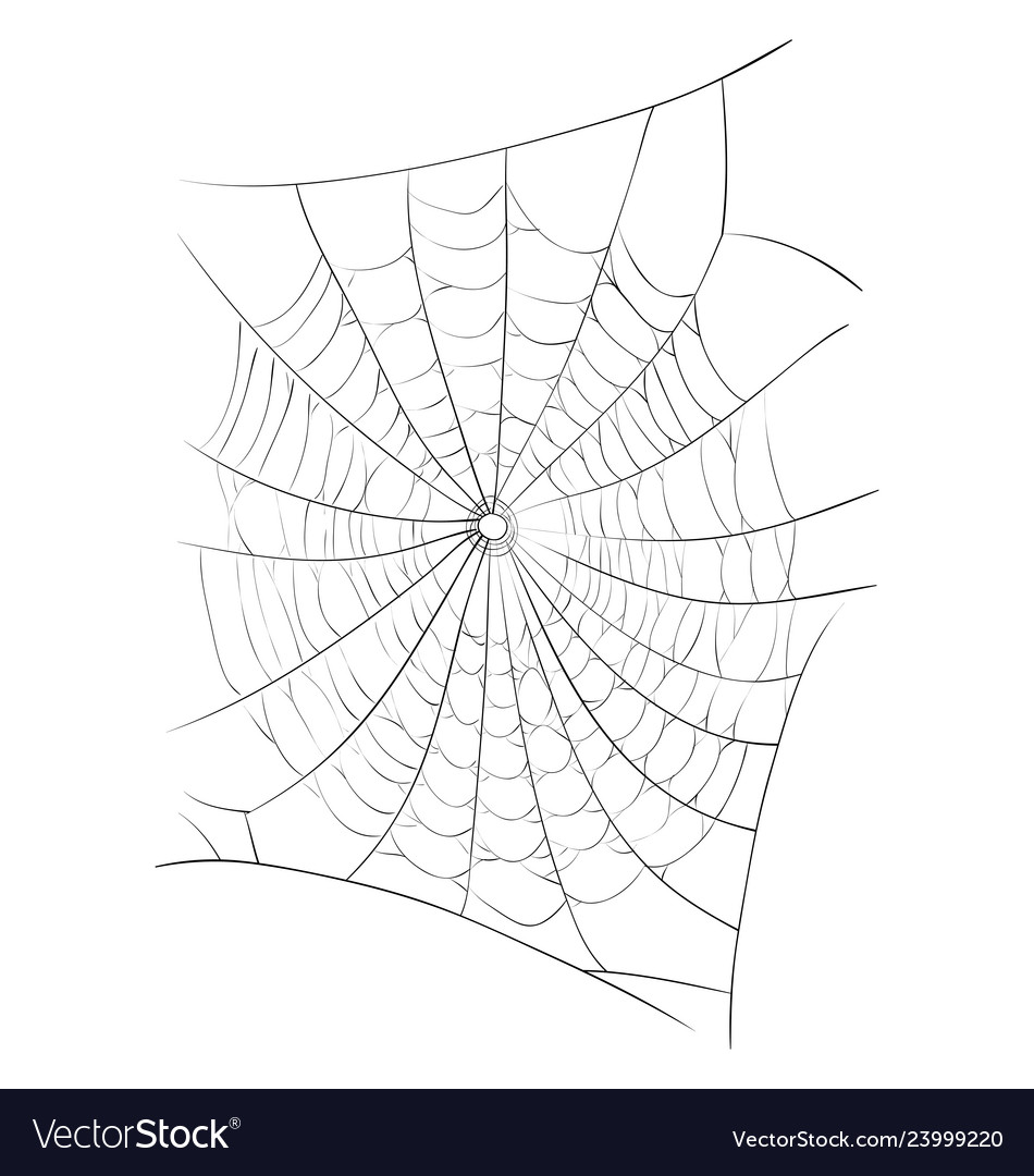 Spider Web Symbol Symbol Design schöne isoliert