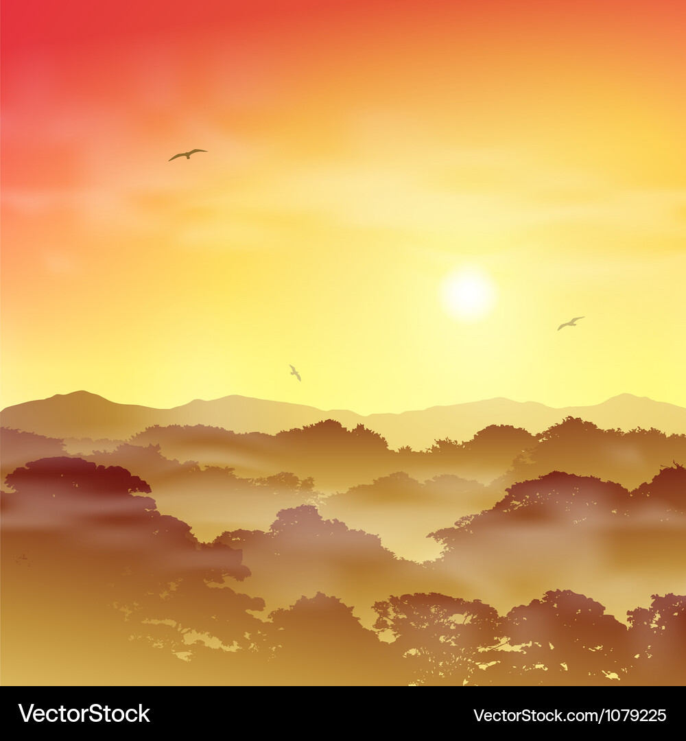 Forest landscape Royalty Free Vector Image - VectorStock