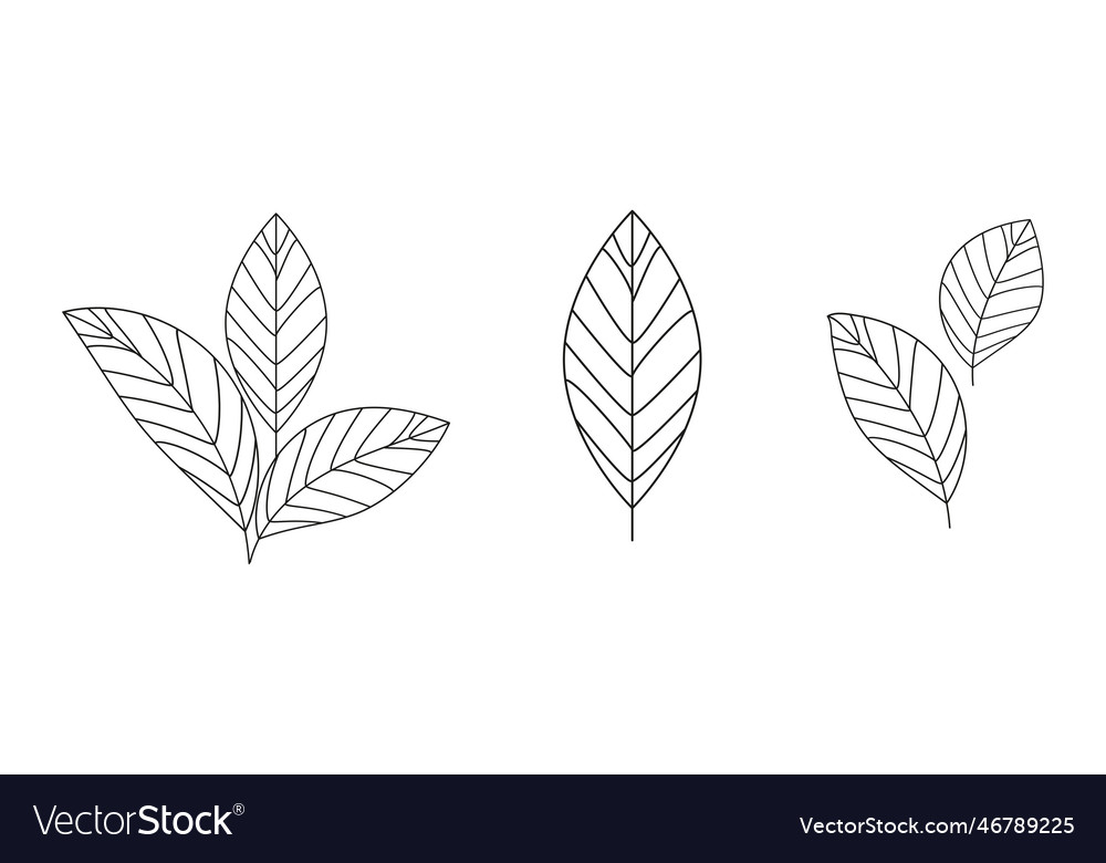 Leaves are black in abstract style design