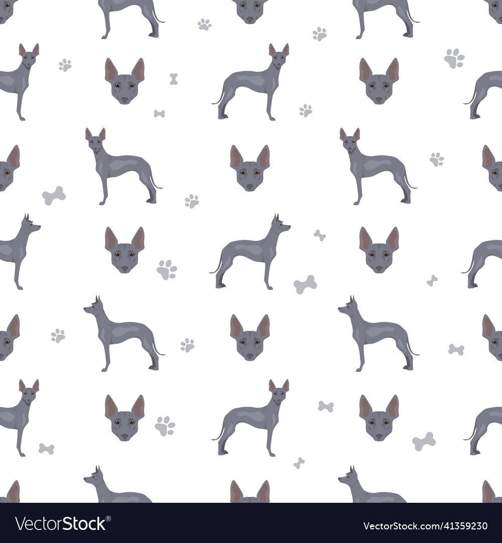 Peruvian hairless dog seamless pattern different Vector Image