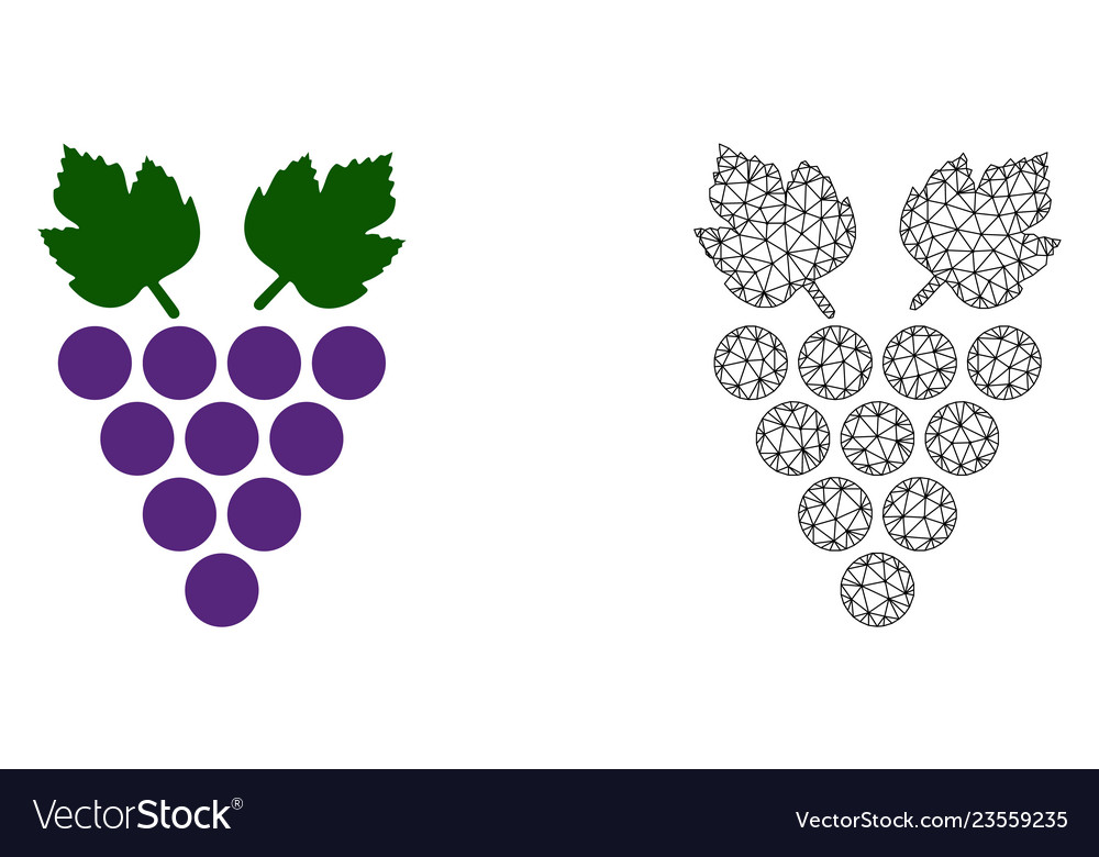 2d mesh grape and flat icon