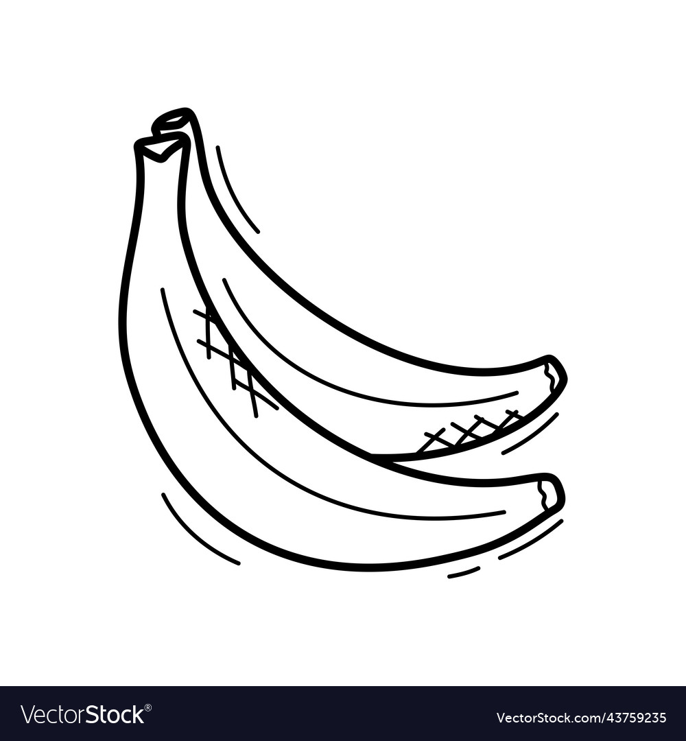 Hand drawn doodle banana icon for backgrounds Vector Image