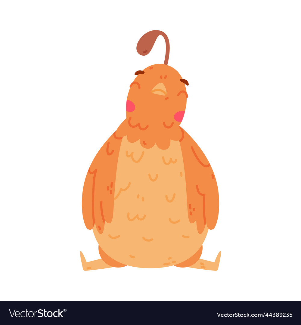 Quail bird with crest and feathers in sitting pose