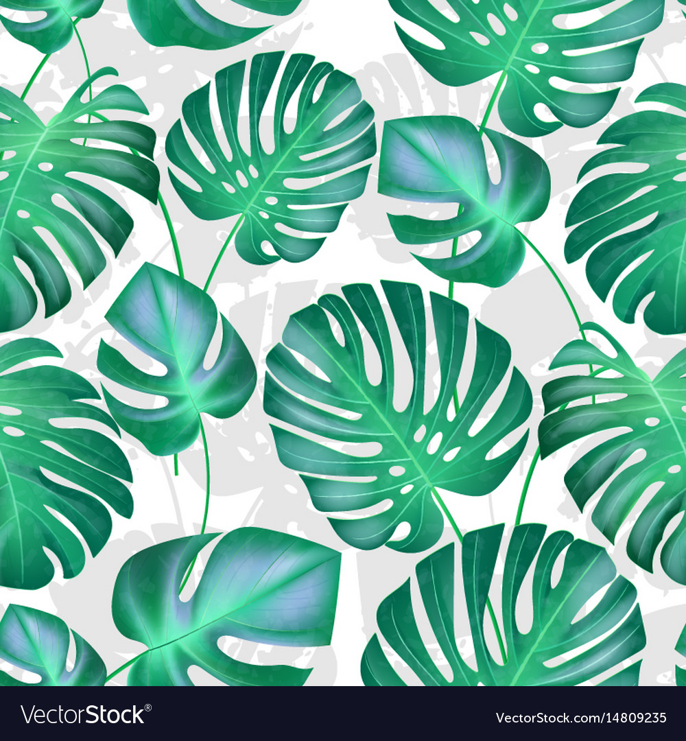 seamless tropical leaves pattern strong royalty free vector