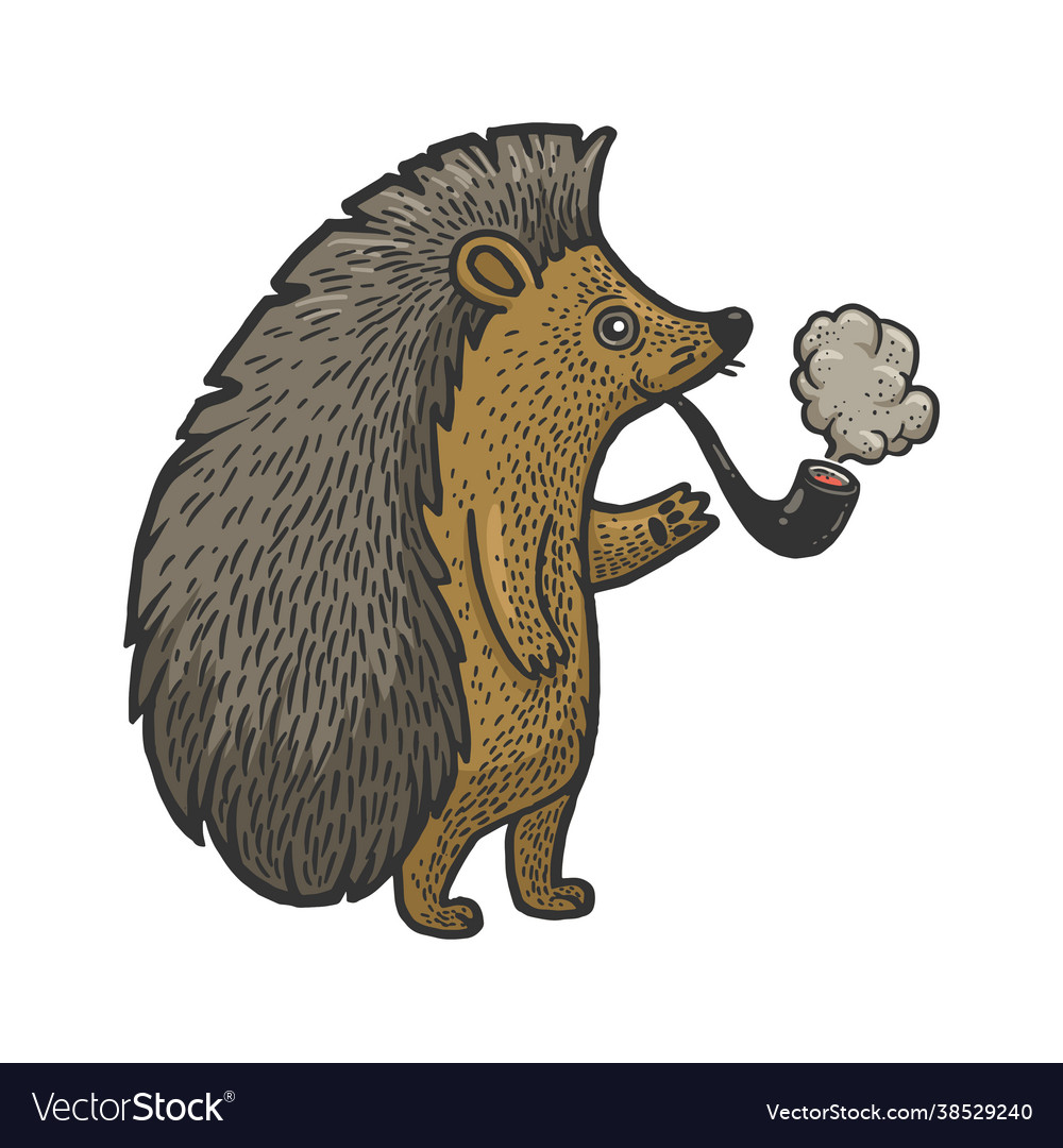 Hedgehog smoking pipe sketch