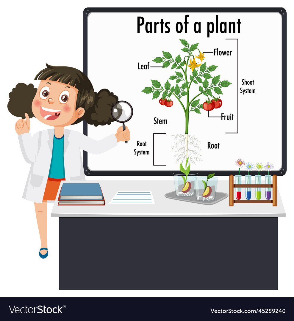 Kid explaining parts of a plant