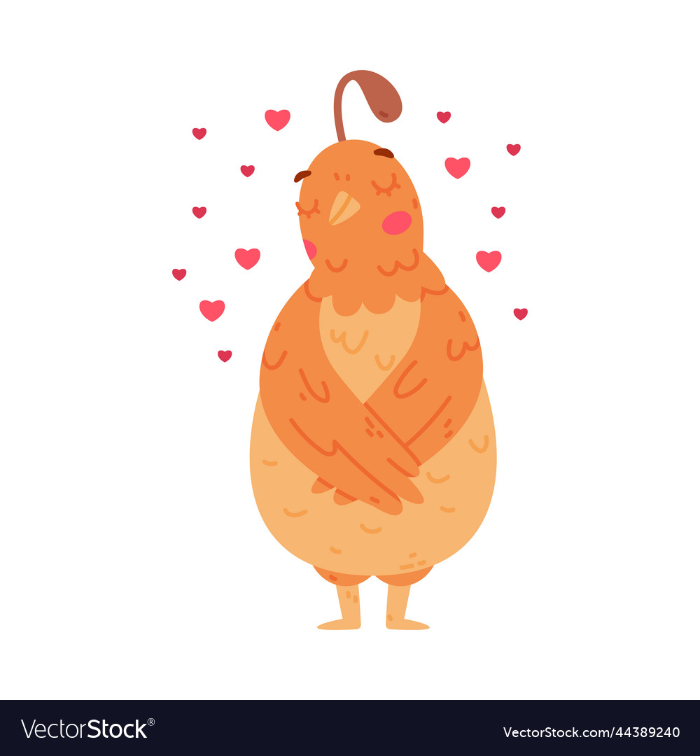 Quail bird with crest and feathers standing