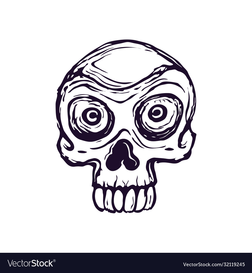 Drawing a stylized skull on a white vector image Drawing a stylized skull on a white