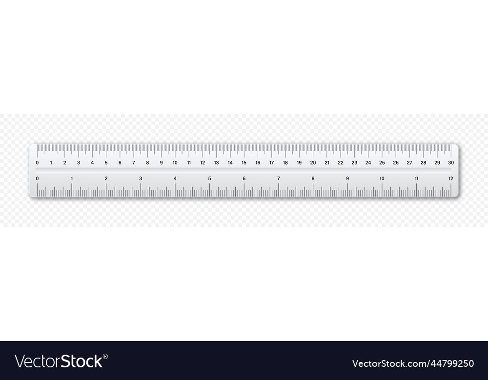 Realistic plastic ruler with measurement scale Vector Image