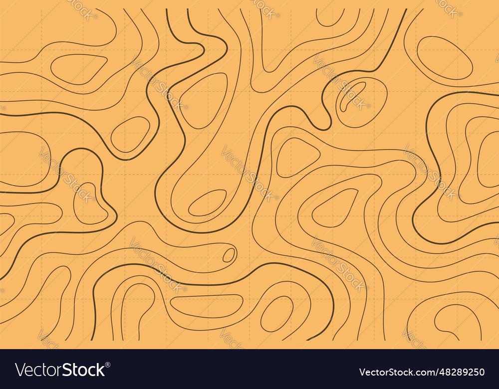 Topographic map background concept abstract
