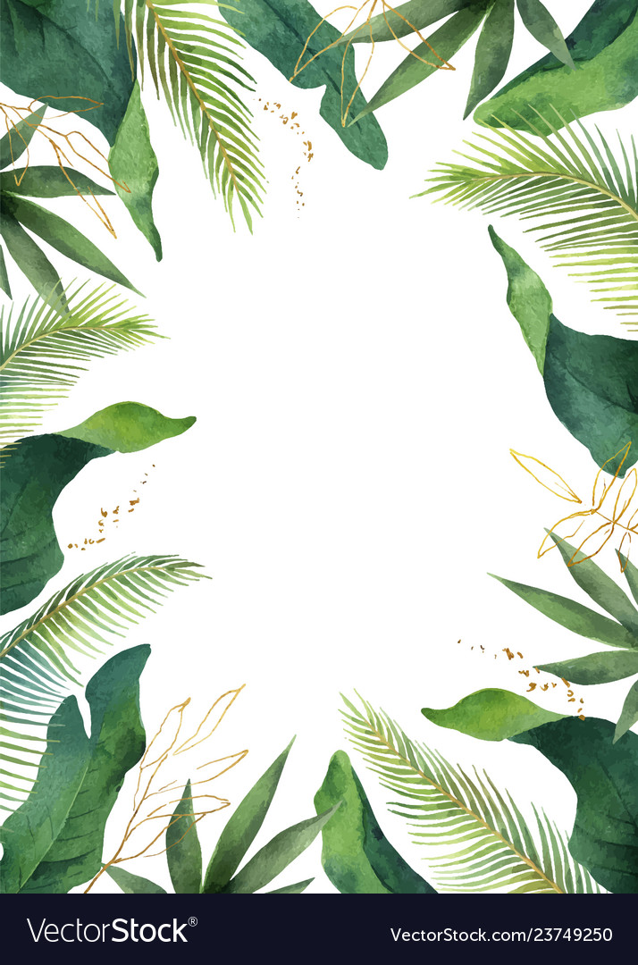 Watercolor Banner Tropical Leaves Isolated Vector Image