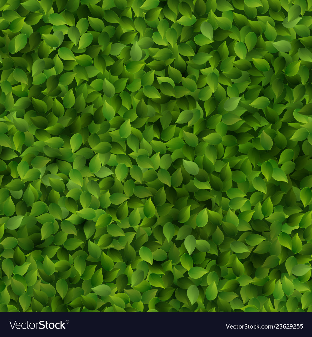 Seamless green leaves pattern spring or summer