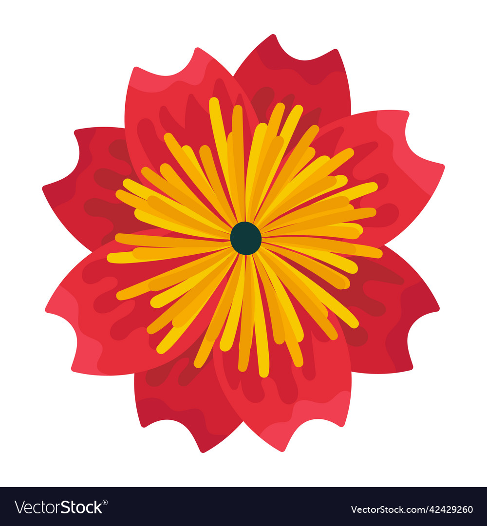 Dahlia Royalty Free Vector Image Vectorstock Dahlia Royalty Free Vector Image Vectorstock