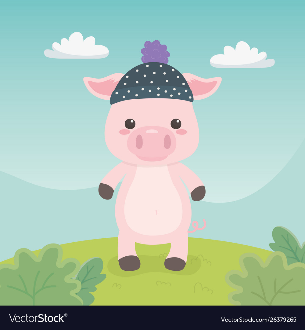 Cute and little pig in field