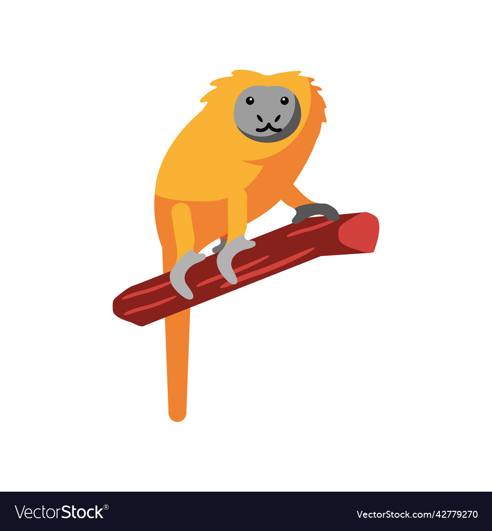 Lion tamarin in branch Royalty Free Vector Image