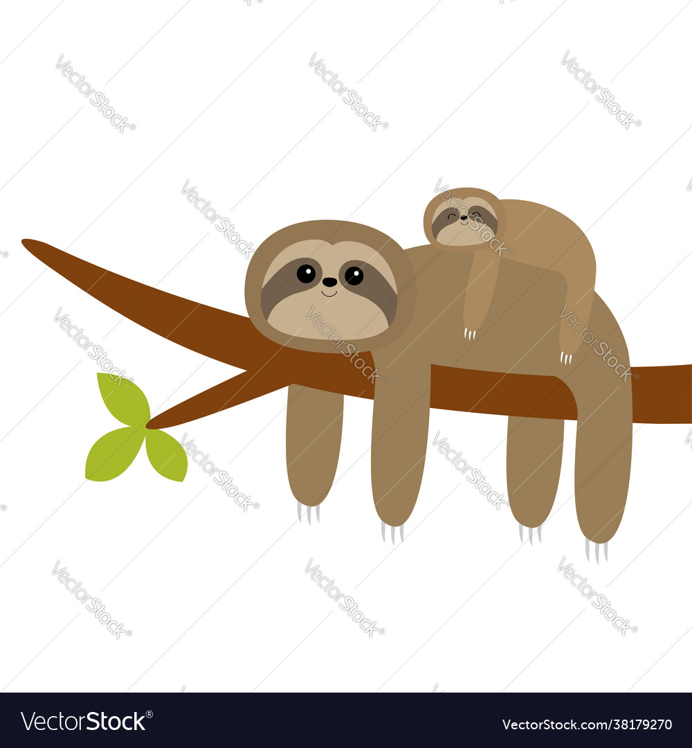 Sloth hängen auf Baum Zweig Blatt niedlich Cartoon