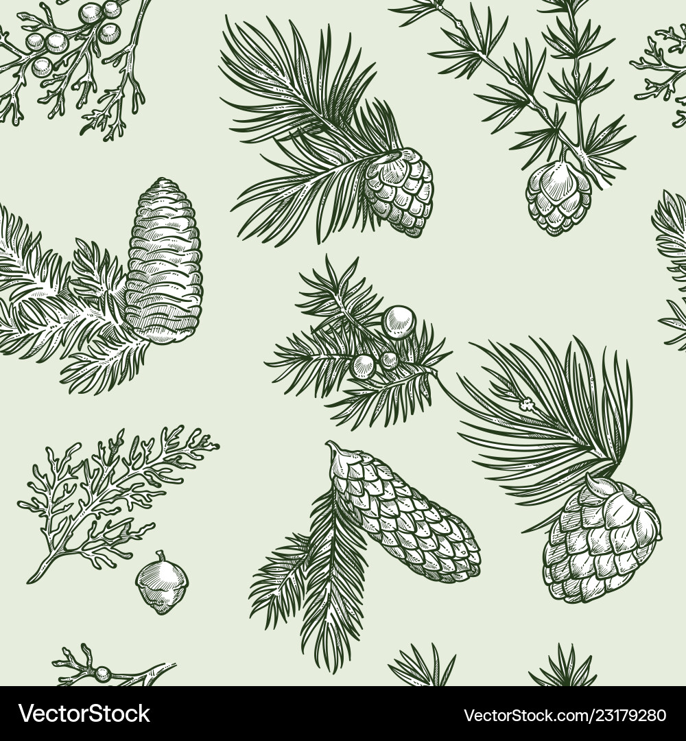 Pine branches trees and cones seamless pattern Vector Image