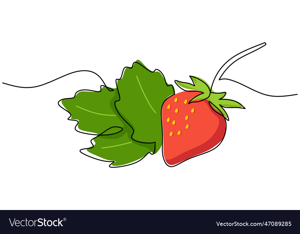 Strawberry continuous one line drawing fruit