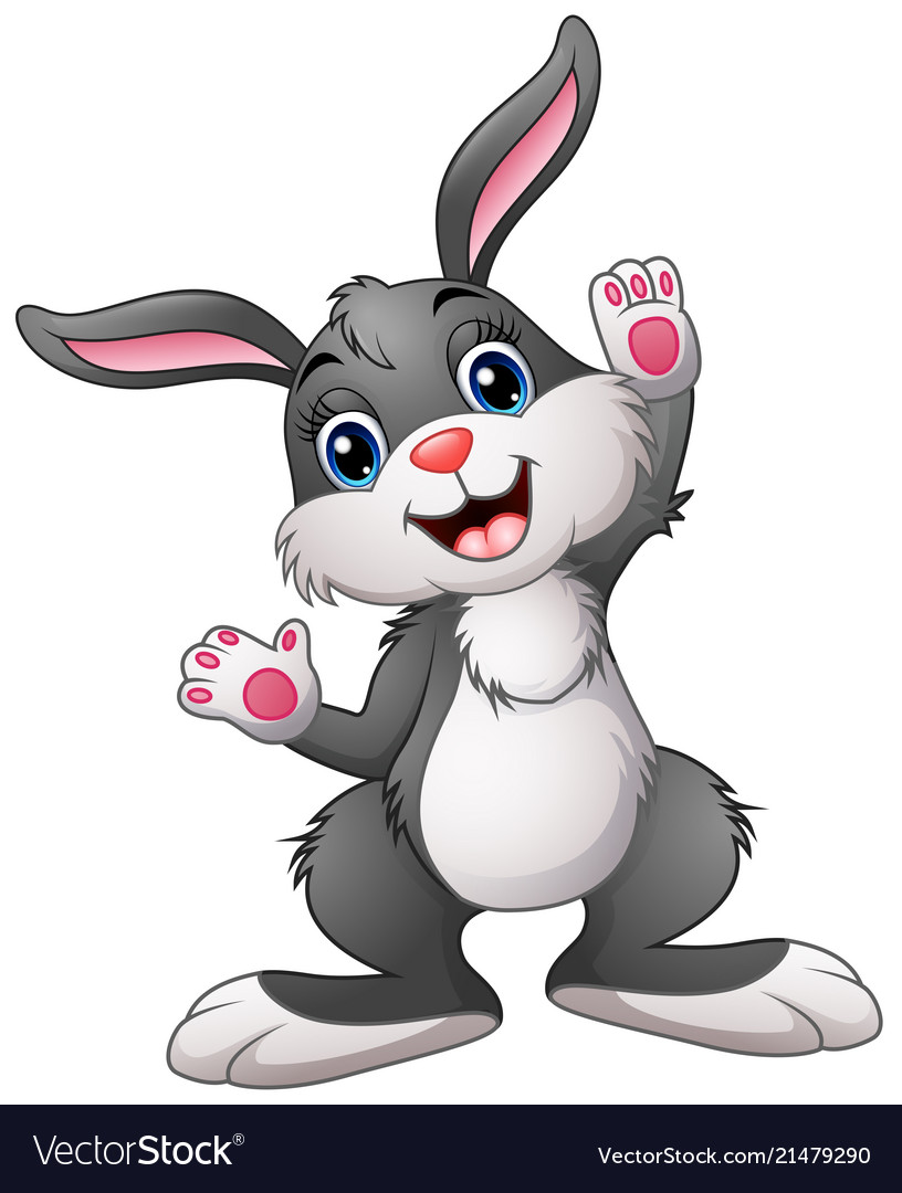 rabbit cartoon