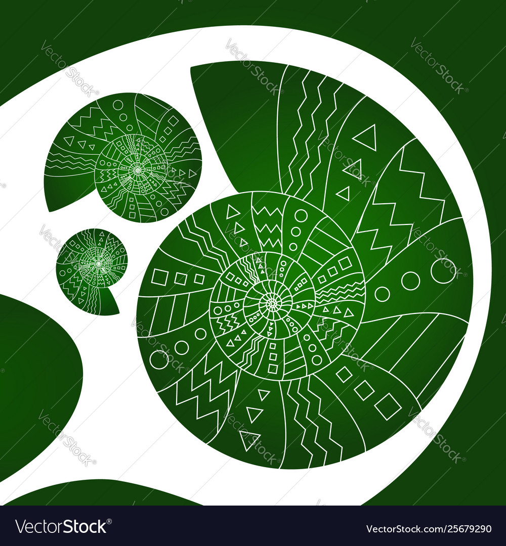 Three green shells with different sizes