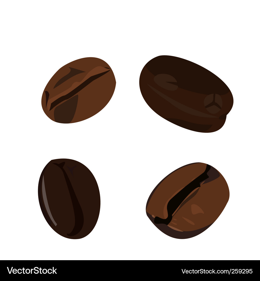 Coffee bean Royalty Free Vector Image - VectorStock